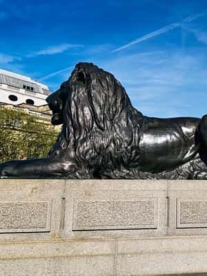 slika br. 2 iz kolekcije Istražite London, Kenotaf i Buckinghamsku palaču aktivnosti u mjestu London, prenio opskrbni partner