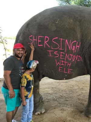 image n.2 of Jaipur: Elephant Interaction Tour activity in Jaipur, uploaded by supplier