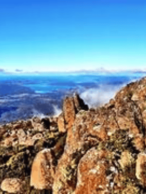 image n.2 of Hobart: Shore Excursion, Sights Wildlife Sanctuary and Lunch activity in Hobart, uploaded by supplier