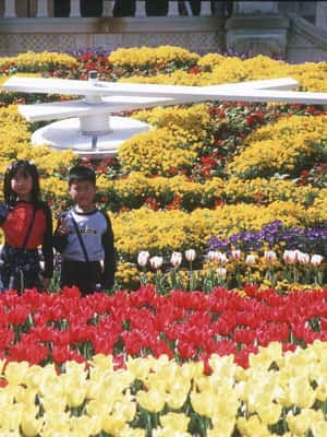 image n.2 of من فوكوكا: رحلة خاصة ليوم واحد إلى منتزه هويس تين بوش الترفيهي activity in ساسيبو, uploaded by supplier