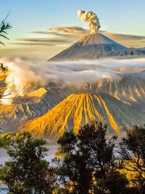 image n.2 of bali to java: bromo, ijen, tumpak sewu, borobudur, Prambanan activity in Yogyakarta, uploaded by supplier