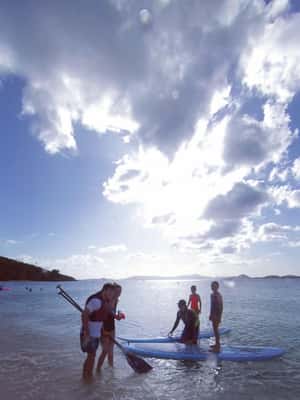 billede nr.2 af aktiviteten Thomas: SUP-udlejning i mangrove-lagunen i Red Hook, Saint Thomas, uploadet af udbyder