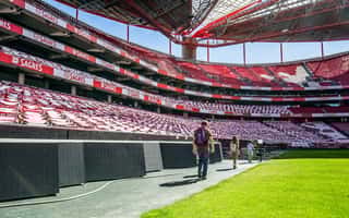 bilde nr.3 av Lisboa: Omvisning på Luz stadion og billett til SL Benfica-museet m/Scarf aktivitet i Lisboa, lastet opp av leverandør