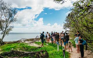 image n.4 of Bundaberg: Lady Musgrave Island and Great Barrier Reef Tour activity in Burnett Heads, uploaded by supplier