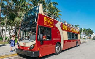bild nr.3 av Miami - en rundtur Panoramaturné med öppen buss och guidad kryssning i Biscayne Bay aktivitet i Miami, uppladdad av arrangören