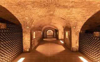 imagem n.3 de De Paris: Viagem de 1 dia para Champagne com 8 degustações e almoço atividade em Reims, carregada pelo fornecedor