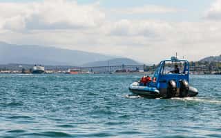 image n.4 of Vancouver: Indian Arm and Granite Falls Zodiac Boat Tour activity in Vancouver, uploaded by supplier