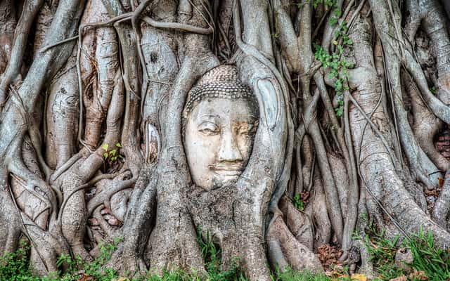 ayutthaya wycieczki