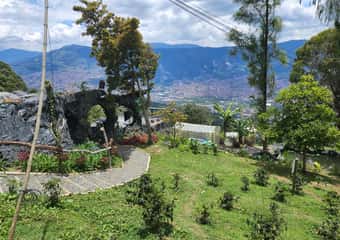 4. 唐萊安德羅咖啡農場