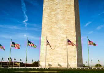 The White House