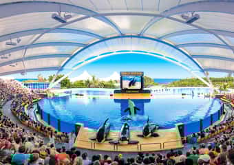 3. Loro Parque