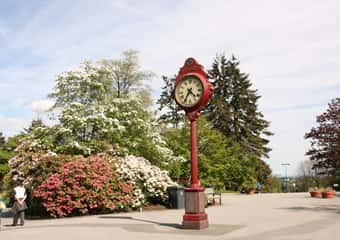 8. Queen Elizabeth Park