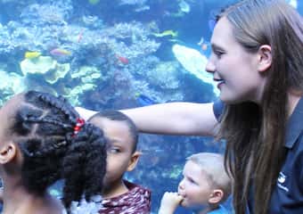 Atlanta: Activities for couples