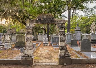 Savannah: Activities for couples