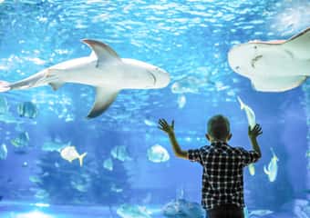 6. Oceanarium w Vancouver