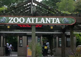 Atlanta: Activities for couples