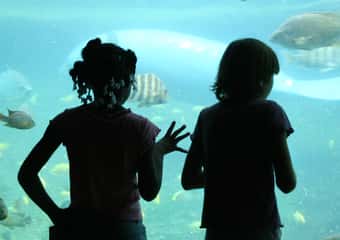 2. The Florida Aquarium
