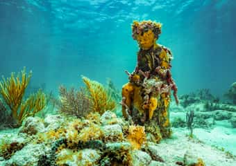 Cancún: Family-friendly activities