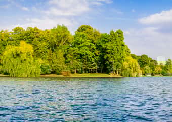 4. König Michael I. Park