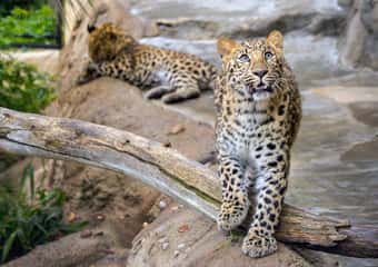 San Diego: Family-friendly activities