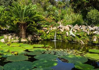 3. Giardini la Mortella