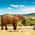 Addo Elephant National Park