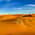 Erg Chebbi