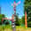 Stanley Park Totem Poles