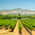 Yountville tours
