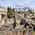 Ercolano