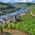 Mosel
