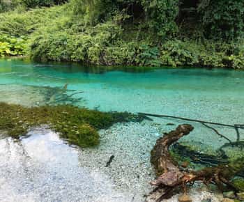 De Saranda: Explora o Olho Azul - O Monumento da Natureza