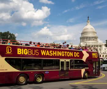 DC: Hop-On Hop-Off com 17 paragens e excursão a pé por Arlington