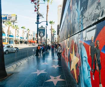 Los Angeles: Stadtführung für Gruppen mit Hollywood & Beverly Hills