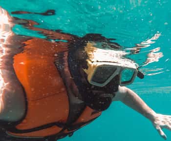 Mirissa: Experiência de mergulho com snorkel e tartarugas