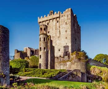 Tour mattutino di mezza giornata del Castello di Blarney e di Kinsale da Cork