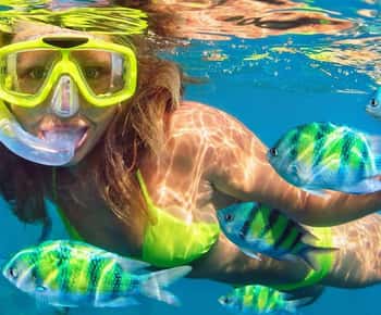 Fort Walton: Dolphin Discovery and Snorkeling Cruise