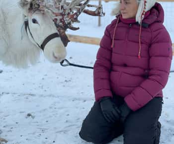 Alta: Sami Cultural experience - Lavvu - Reindeers