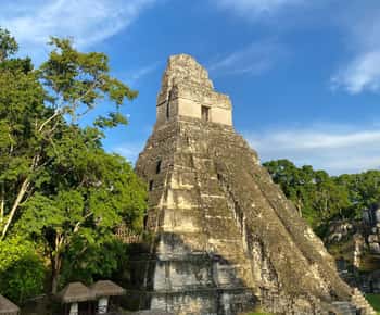 From Flores, Tikal Guided Group Tour