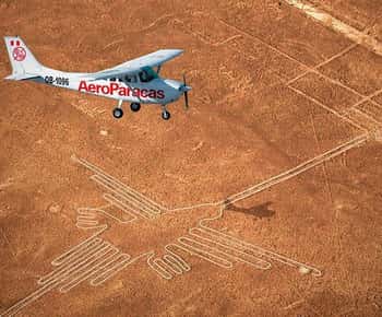 Lima: Nazca-lijnen vlucht, Paracas & Huacachina 2-daagse tour