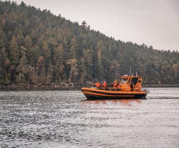 Nanaimo: Whale Watching Open Boat Tour