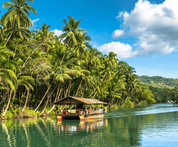 Excursão de um dia a Bohol saindo da cidade de Cebu ou Mactan (tour particular)