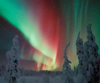 Polar Night Lumikenkävaellus