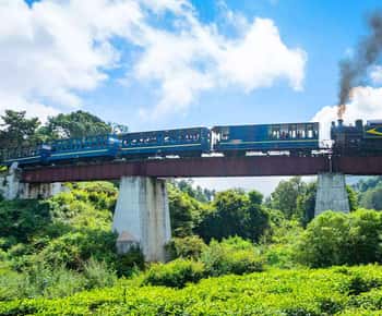 Coimbatore to Ooty Private: 2-Day Hill Station Tour Package