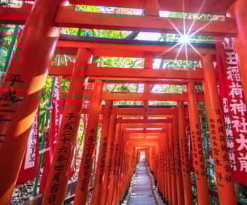 Tokyo: Private Guided Tour of Temples & Shrines