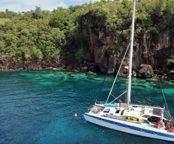 Les Anses-d'Arlet: Catamaran Trip with Turtle Watching