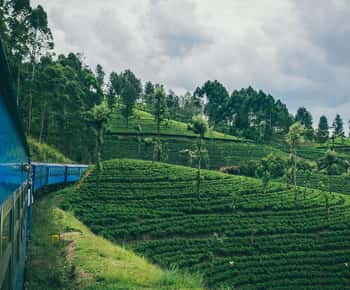 Kandy: First-Class Train to Nuwara Eliya with Reserved Seats
