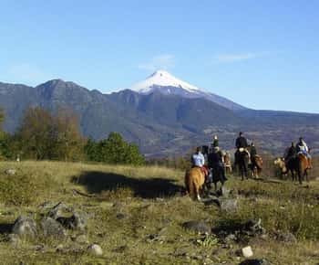 Pucon: Horseback Riding Tour with Waterfall Stop