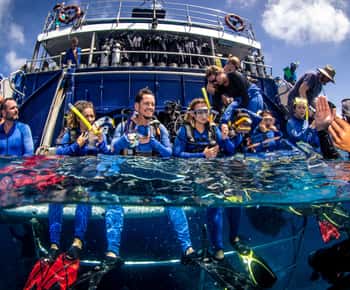 Cairns: Best Value All-inclusive Reef Trip With Scuba Dive