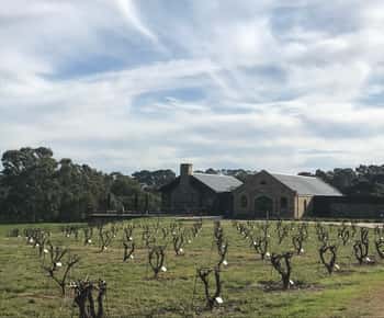 Valle de Barossa: Tour en grupo reducido (Incluye almuerzo)